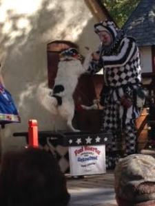 CARF Marquis and PolkaDot